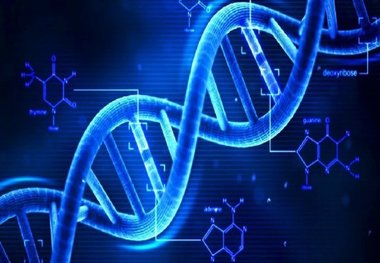 تشخیص ورزش و رژیم غذایی مناسب یک فرد با آزمایش DNA