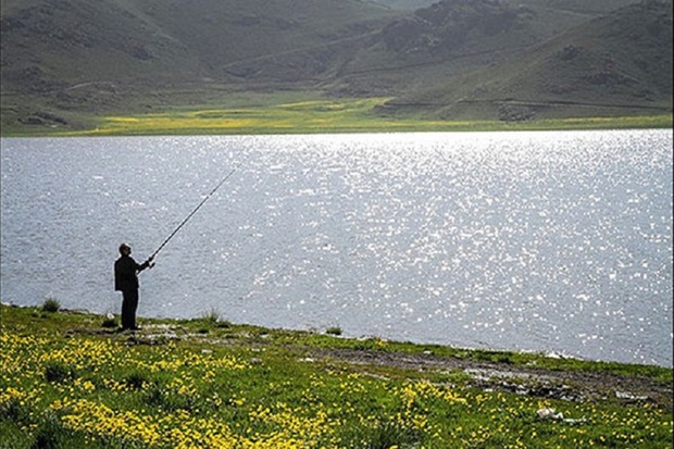 خاطرات رنگین کمانی نئور