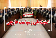 گمانه‌زنی دو عضو کمیسیون امنیت ملی مجلس پیرامون ورود افراد مسلح به کشور/ حیات مقدم: اطلاع رسمی در این زمینه ندارم/مالکی: نیروهای امنیتی و اطلاعاتی برخورد می‌کنند