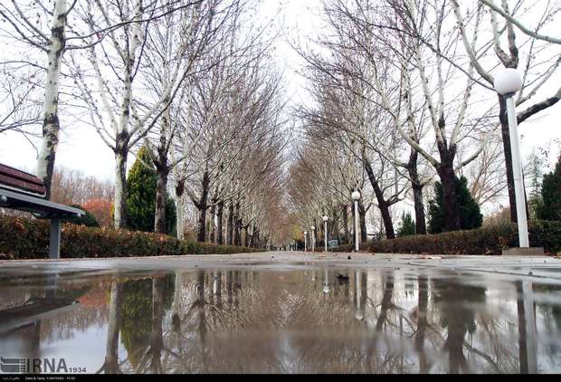 بیشترین میزان بارندگی در میمه ثبت شد