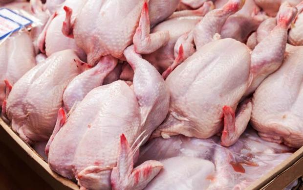 سهمیه توزیع گوشت مرغ استان بوشهر افزایش یافت
