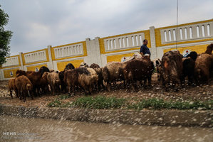 آبگرفتگی معابر شهر اهواز بعد از بارندگی