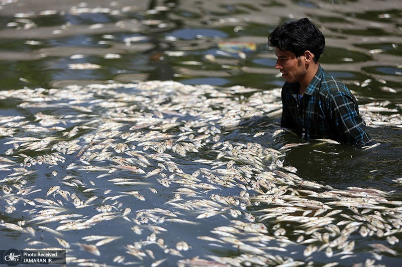 منتخب تصاویر امروز جهان- 2 اردیبهشت 1400