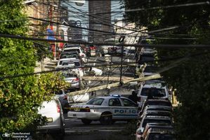 منتخب تصاویر امروز جهان- 15 مرداد