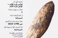 گنجینه‌های غارت‌شده که در موزه بریتانیا به نمایش گذاشته شده‌اند (10)