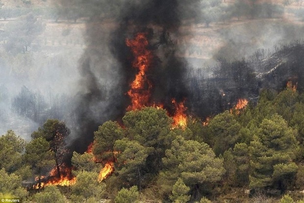 آتش سوزی جنگل‌های کبگیان بویراحمد مهار شد