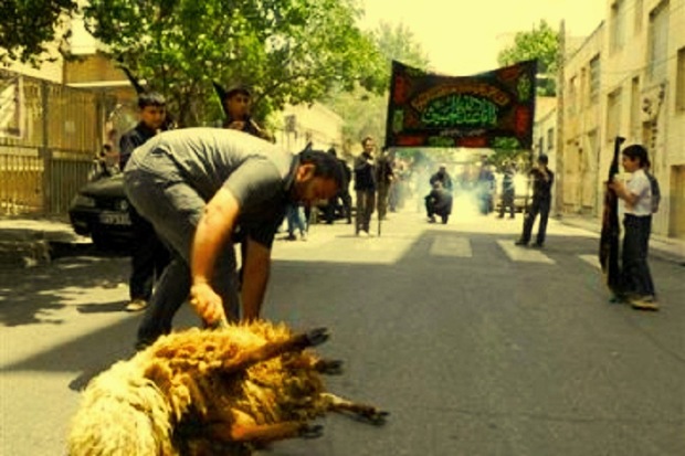 شهروندان قزوینی از ذبح دام در معابر عمومی پرهیز کنند