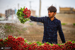 منتخب تصاویر امروز جهان- 17 اردیبهشت 1400