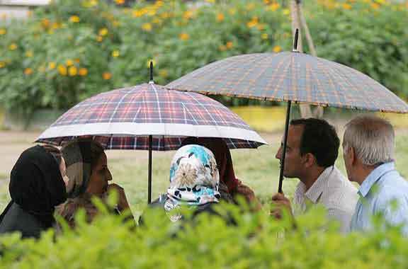 زوج های جوان مدارا نمی کنند