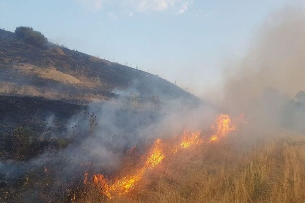 ۲۵ هکتار از مراتع تکاب در آتش سوخت