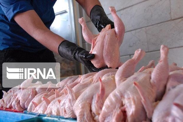 قیمت مرغ در کرمان کاهش یافت