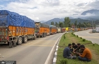 کشاورزان میوه کشمیر با ضررهای هنگفتی مواجه شدند (5)