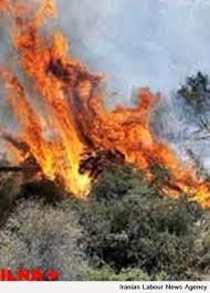 آتش‌سوزی 50 هکتار از اراضی بوئین زهرا
