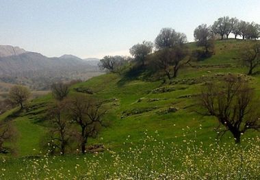 ورود کاروانی به مناطق گردشگری شهری و روستایی باشت ممنوع است