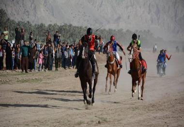 سوارکاران برتر کورس زمستانی استان بوشهر معرفی شدند