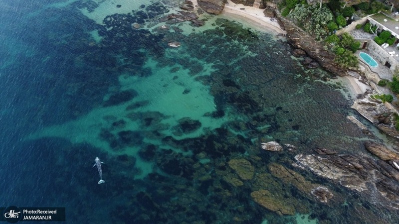 منتخب تصاویر امروز جهان- 14 اردیبهشت 1400