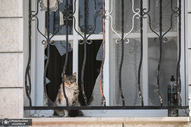 منتخب تصاویر امروز جهان - 1 اسفند 1403