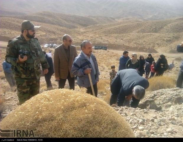 کشت گیاهان دارویی در افزایش رونق اقتصادی استان سمنان تاثیرگذار است