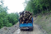 کشف ۶ تن چوب جنگلی قاچاق در شهرستان ملایر