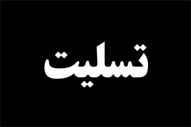 استاندار درگذشت شهروند قزوینی در سانحه هواپیمای تهران-یاسوج را تسلیت گفت