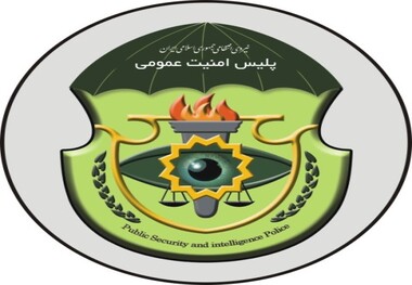 دستگیری گروهی از از اراذل و اوباش در تایباد