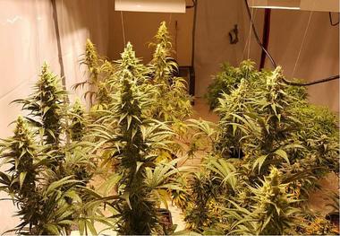 اروپا بهشت قاچاقچیان و مصرف کنندگان مواد مخدر/ تجارت 30 میلیارد یورویی 