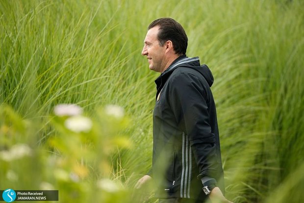 شغل جدید مارک ویلموتس!