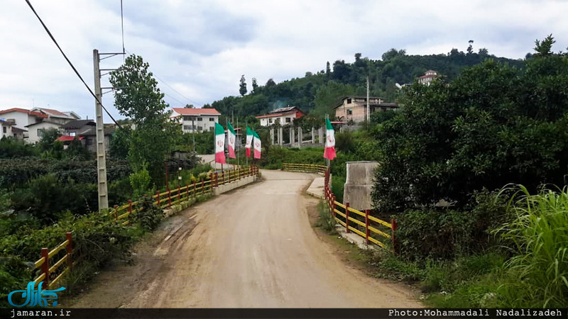 روستای سلیم آباد تنکابن؛ اینجا همه چیز سبز است