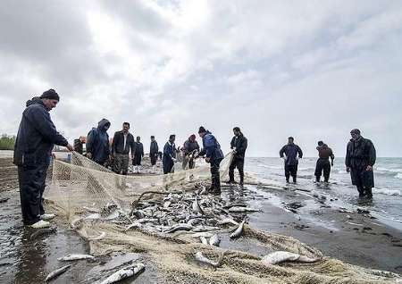 درآمد 20میلیارد تومانی سه ماهه ماهیگیران مازندران از دریای خزر