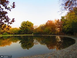 باغ گیاه‌شناسی ملی ایران‎