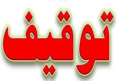  ۵۵ خودروی لوکس به‌دلیل «دور دور کردن» در شمال تهران توقیف شدند