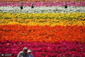 منتخب تصاویر امروز جهان - 27 اسفند 1400