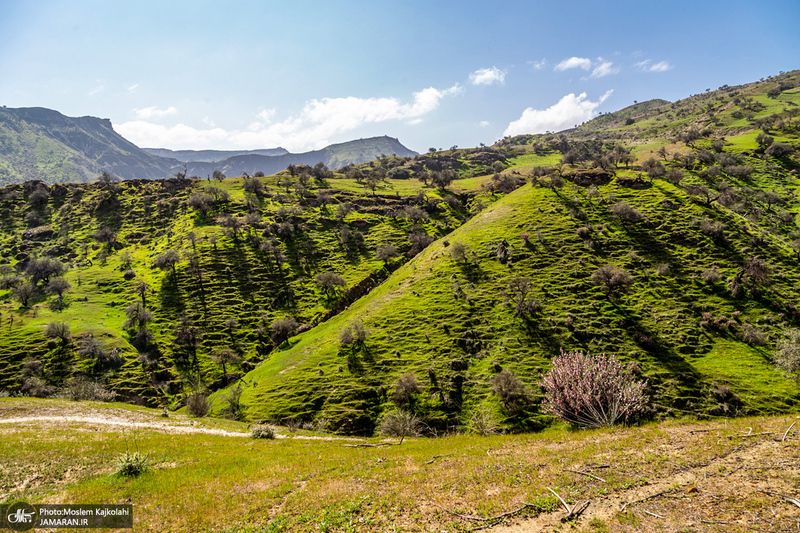 طبیعت بکر و زیبای«کفشکنان»