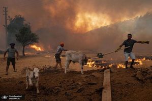 منتخب تصاویر امروز جهان- 12 مرداد 1400