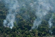 بحران جهانی به نام آتش سوزی جنگل های آمازون
