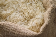 پیش بینی قیمت برنج در ماه های آینده