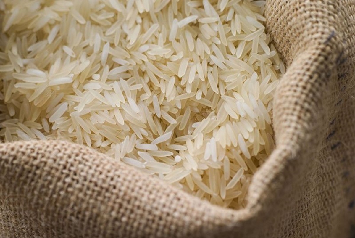 قیمت جدید انواع برنج ایرانی دی 1402 + جدول