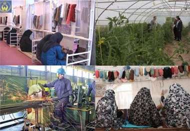 352نفر از مددجویان کمیته امداد گرمی خودکفا شدند