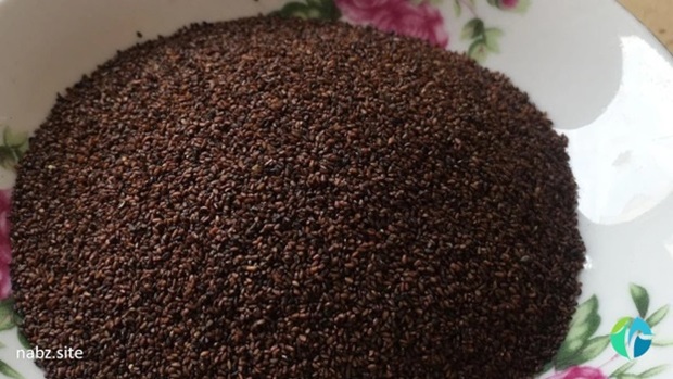 درباره معجزات خواص بارهنگ چه می‌دانید؟