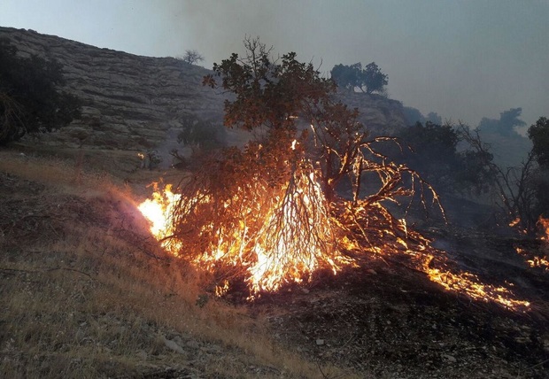 آتش سوزی در عرصه های طبیعی خراسان شمالی 74 درصد کاهش یافت