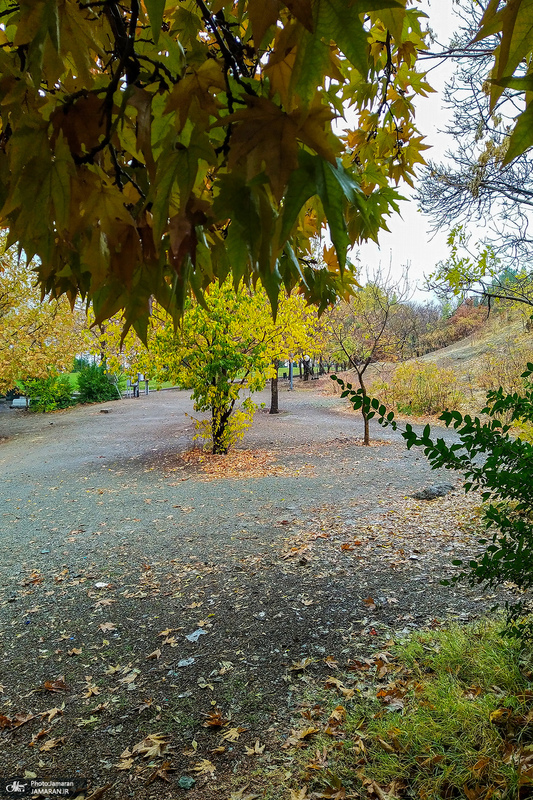 پاییز در ارتفاعات شهرک شهید محلاتی