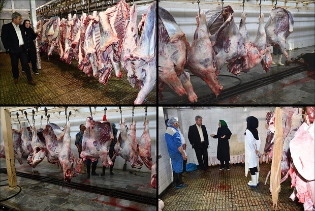 تدابیرلازم برای ذبح بهداشتی گوشت در عید قربان اتخاذ شود