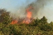 آتش سوزی جنگل ارسباران عمدی بوده است