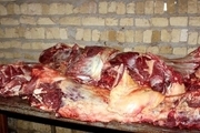 رئیس سازمان دامپزشکی: گزارش فروش گوشت اسب و الاغ به دست ما رسیده ولی گزارش فروش سگ نه!