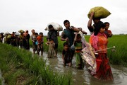 تعداد آوارگان روهینجایی در بنگلادش به 600 هزار تن نزدیک شد
