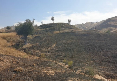 آتش سوزی در طبیعت مسجدسلیمان مهار شد