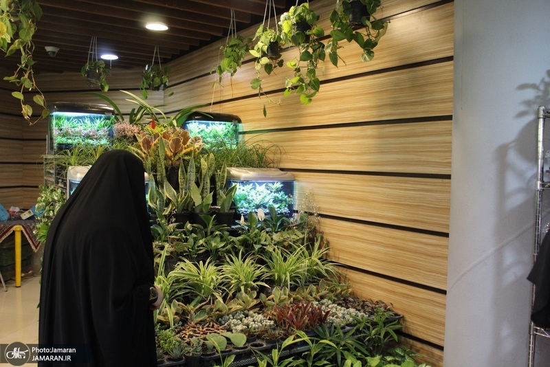 نمایشگاه گل و گیاه (83)