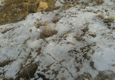 برف راه ارتباطی 20 روستای الیگودرز را مسدود کرد