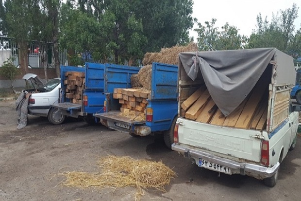 92 اصله چوب آلات قاچاق جنگلی در اردبیل کشف شد