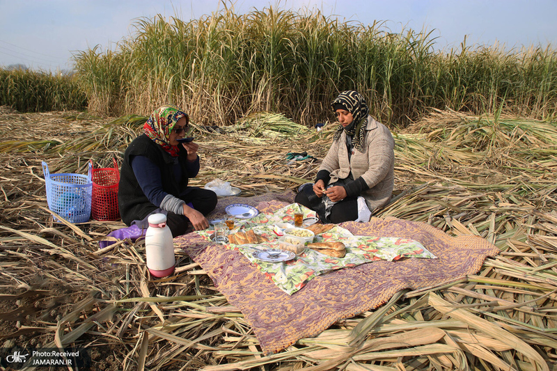 منتخب تصاویر امروز جهان- 4 دی